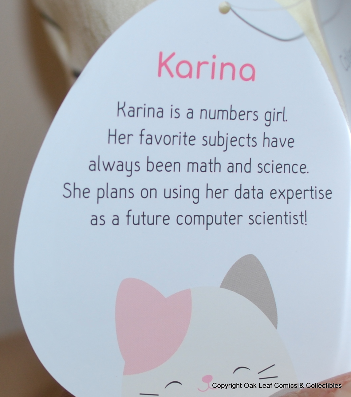 squishmallow karina the cat