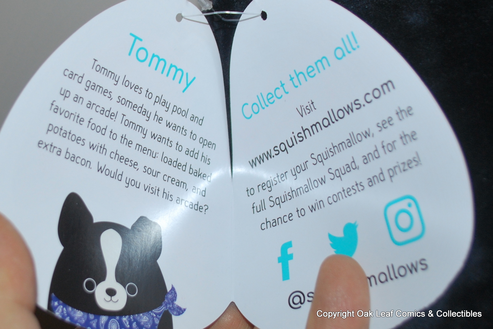 squishmallow tommy